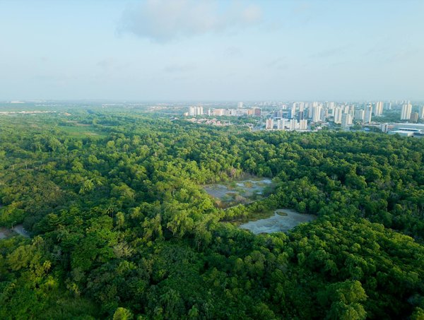 Soins dentaires de qualité à laval : un guide pour les patients